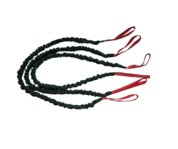 Elastico Extensor (1)