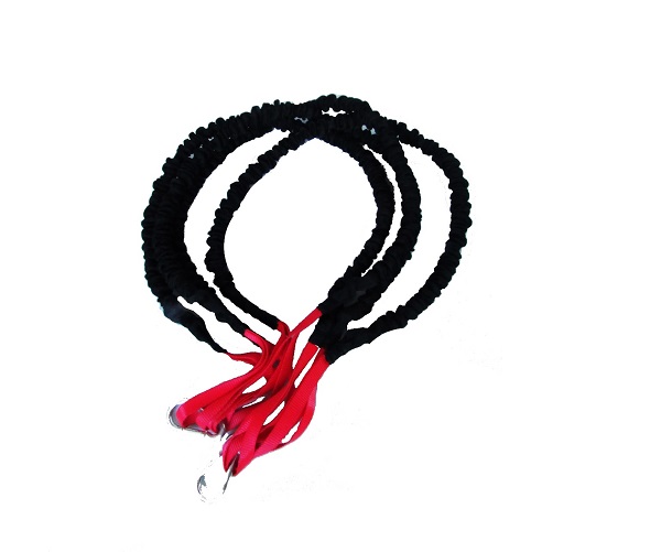 Elastico Extensor (1)